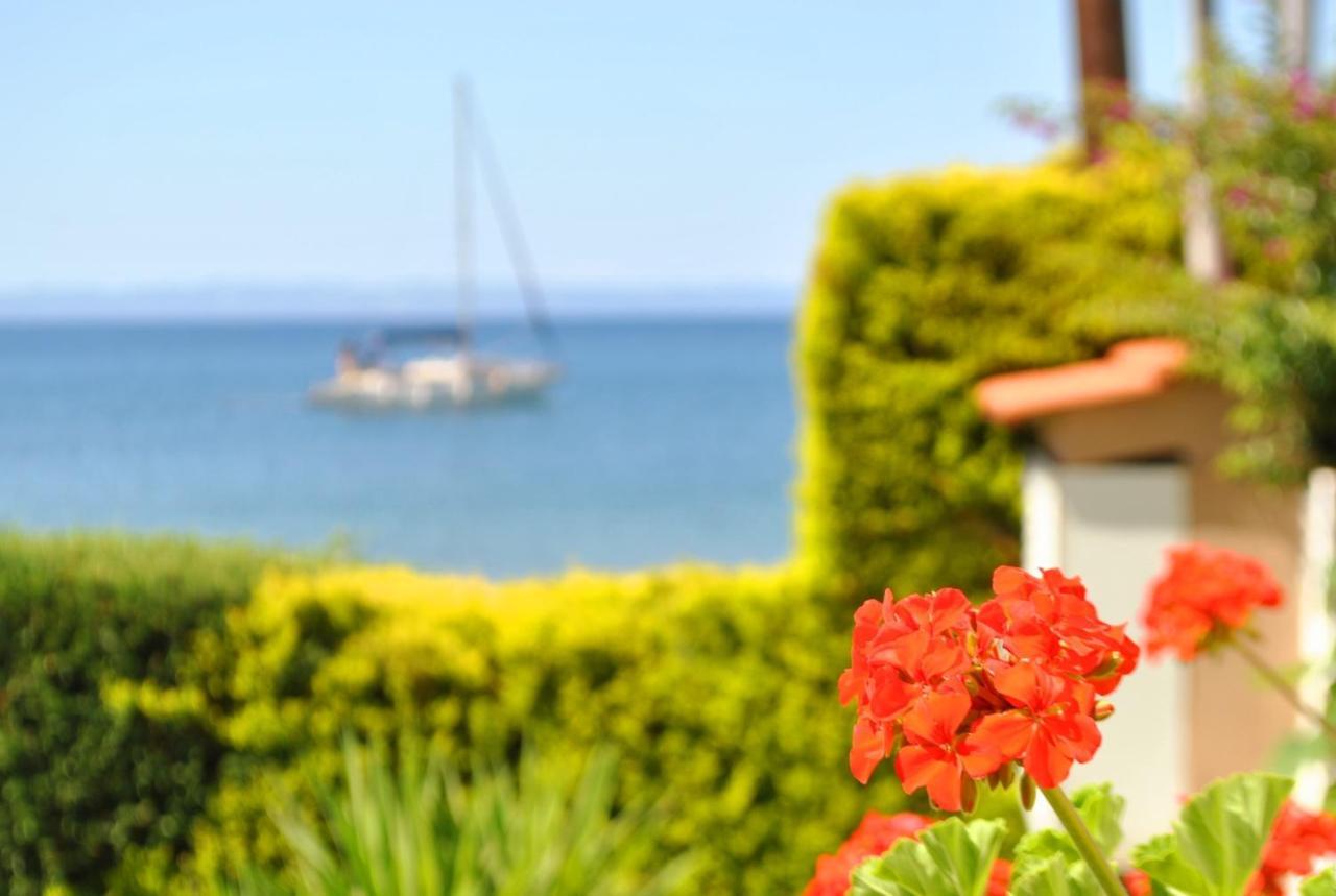 Апартаменты Christina'S Sea House Никити Экстерьер фото